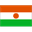 Niger club crest