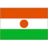 Niger club crest
