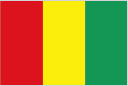 Guinea club crest