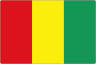 Guinea club crest