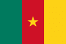 Cameroon club crest