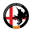 PE Sant Jordi club crest