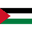 Palestine club crest