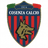 Cosenza U19 club crest