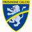 Frosinone U19 club crest