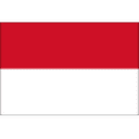 Indonesia club crest