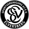 Elversberg II club crest