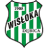 Wisłoka Dębica club crest