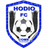 Hodio club crest