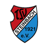 TSV Steinbach club crest