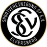 SV Elversberg club crest