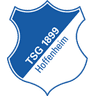 1899 Hoffenheim club crest