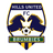 Hills Brumbies club crest