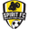 NWS Spirit club crest
