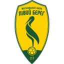 Livyi Bereh club crest