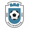 Kostinbrod club crest