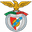 Arronches e Benfica club crest