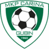 Carina Gubin club crest