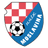 Moslavina club crest