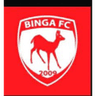 Binga club crest