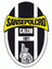 Sansepolcro club crest