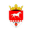 Rîşcani club crest