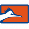 Correcaminos UAT II club crest