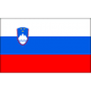 Slovenia U17 club crest