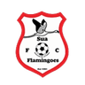 Sua Flamingoes club crest
