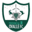 Provincial Ovalle club crest