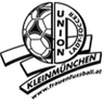 Kleinmünchen / BW Linz W club crest