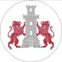 Cetatea club crest