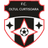 Oltul Curtişoara club crest