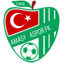 Amasyaspor 1968 club crest