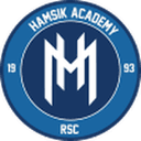 Hamsik Academy club crest