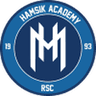 Hamsik Academy club crest