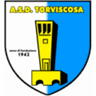 Torviscosa club crest