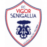 Vigor Senigallia club crest