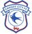 Cardiff City U21 club crest
