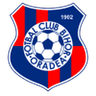Bihor Oradea club crest
