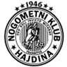Hajdina club crest