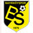 Bilecik 1969 Spor club crest