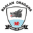 Baglan Dragons club crest