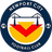 Newport City club crest