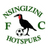 Nsingizini Hotspurs club crest