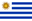 Uruguay U19 club crest