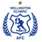 Wellington Olympic club crest