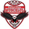 Muscelul Câmpulung Elite club crest