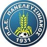 Panelefsiniakos club crest
