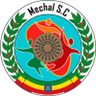LDF club crest